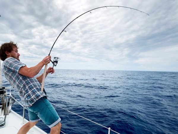 Tackle Boxes Tricks and tips for summer&nbsp;fishing